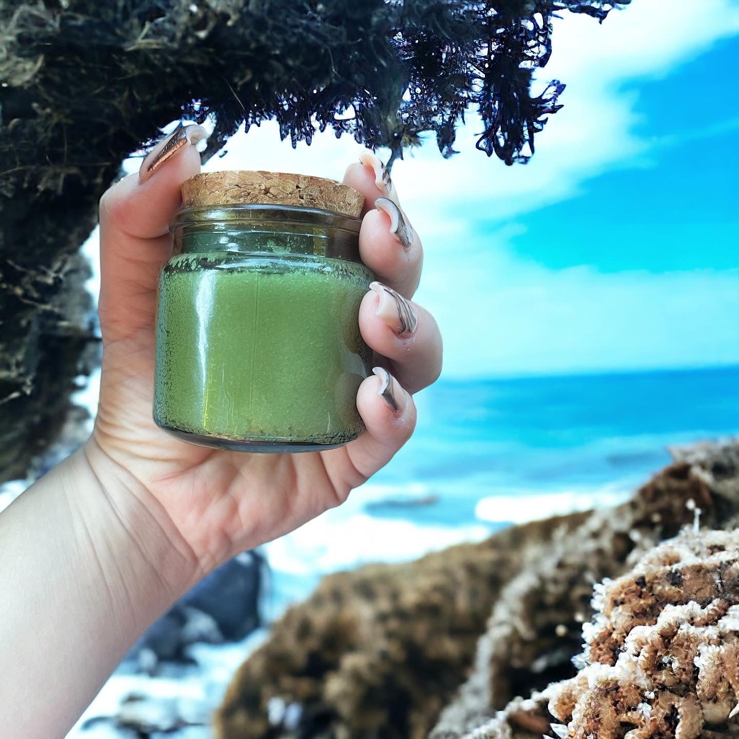 Sea Moss Dry Scalp & Body Pro Repair Scrub