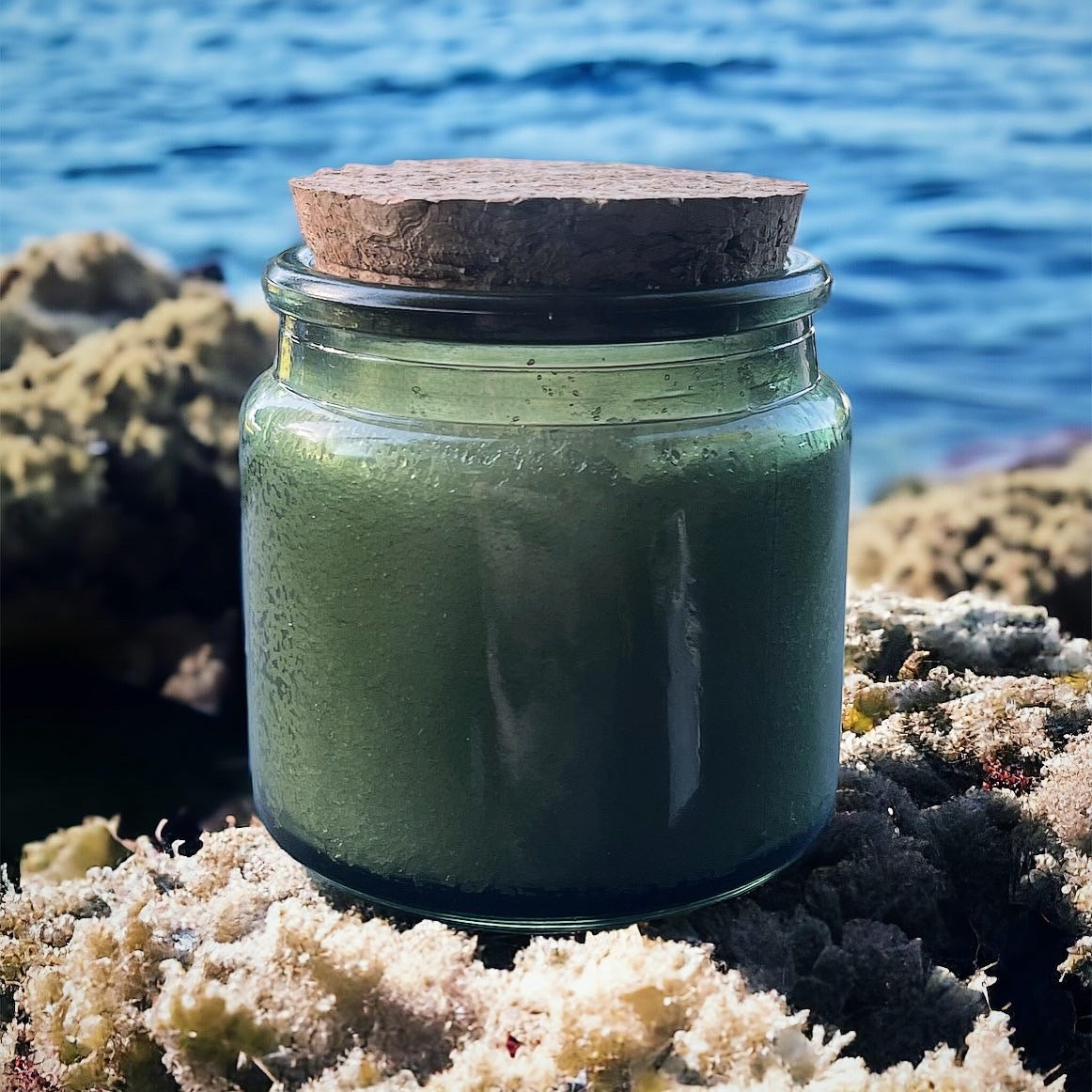 Sea Moss Dry Scalp & Body Pro Repair Scrub